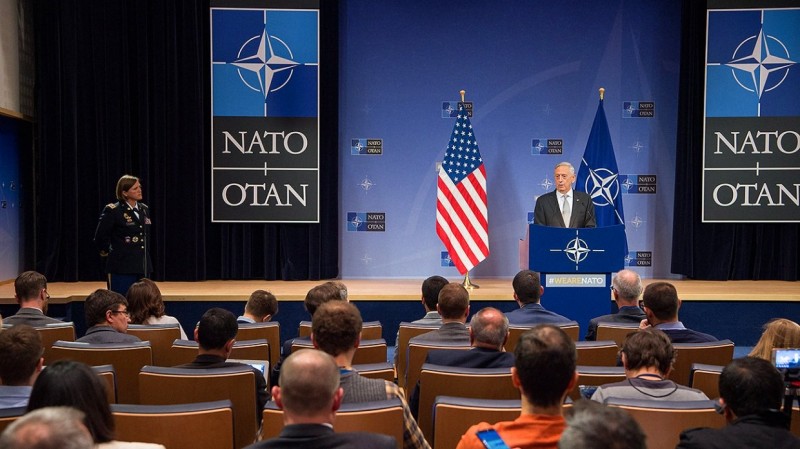Путин действует: профессор из США назвал НАТО «бумажным тигром»