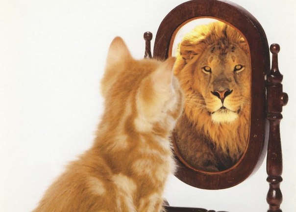 10 способов повысить самоуверенность. 